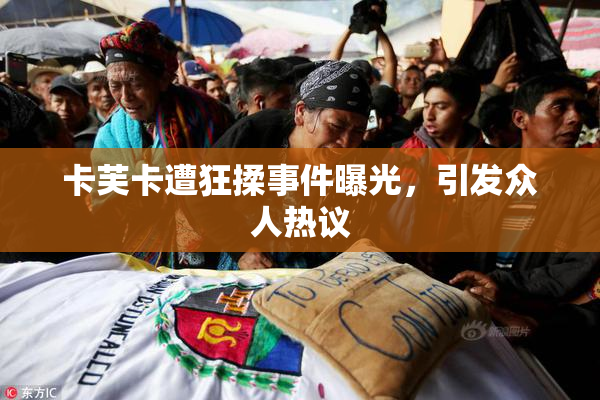 卡芙卡遭狂揉事件曝光，引发众人热议