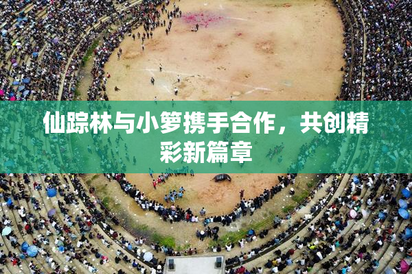 仙踪林与小箩携手合作，共创精彩新篇章