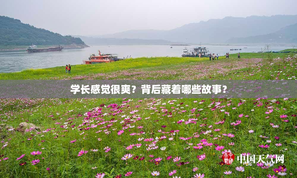 学长感觉很爽？背后藏着哪些故事？