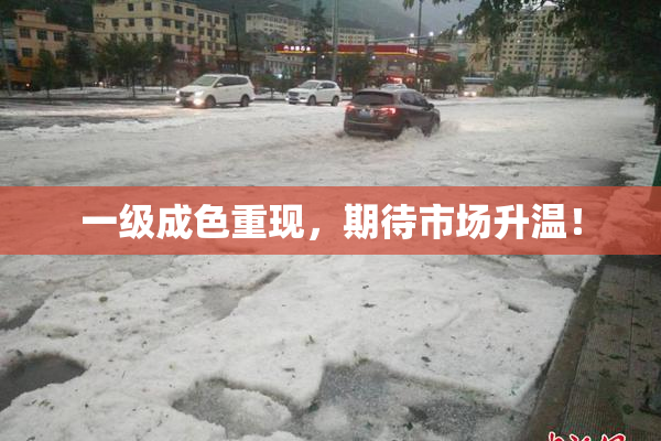 一级成色重现，期待市场升温！