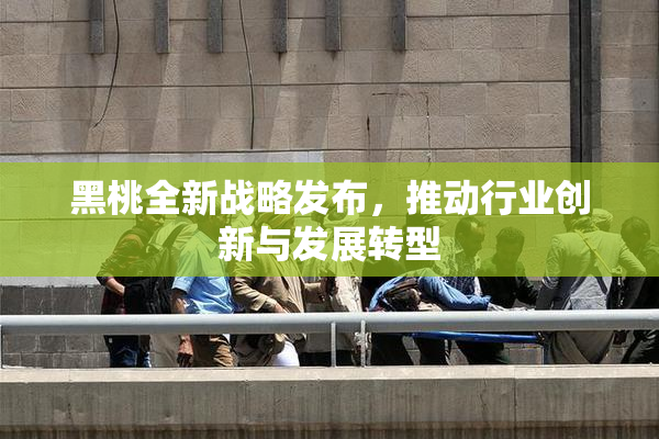 黑桃全新战略发布，推动行业创新与发展转型