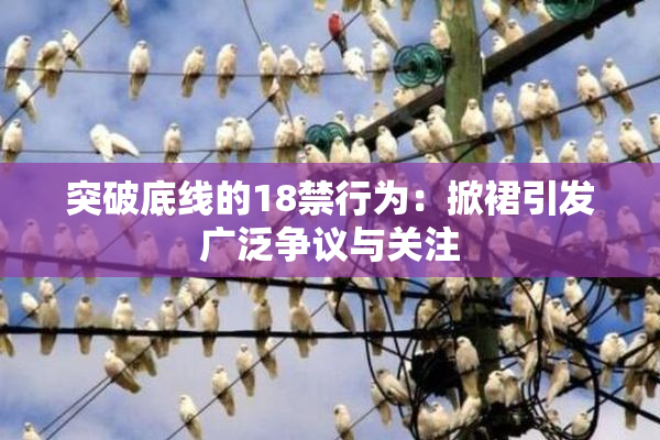 突破底线的18禁行为：掀裙引发广泛争议与关注