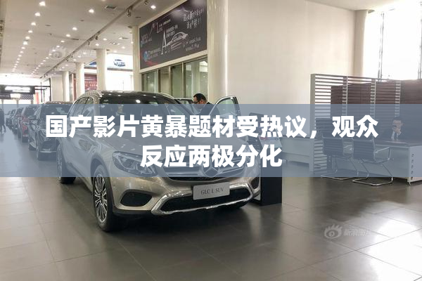 国产影片黄暴题材受热议，观众反应两极分化