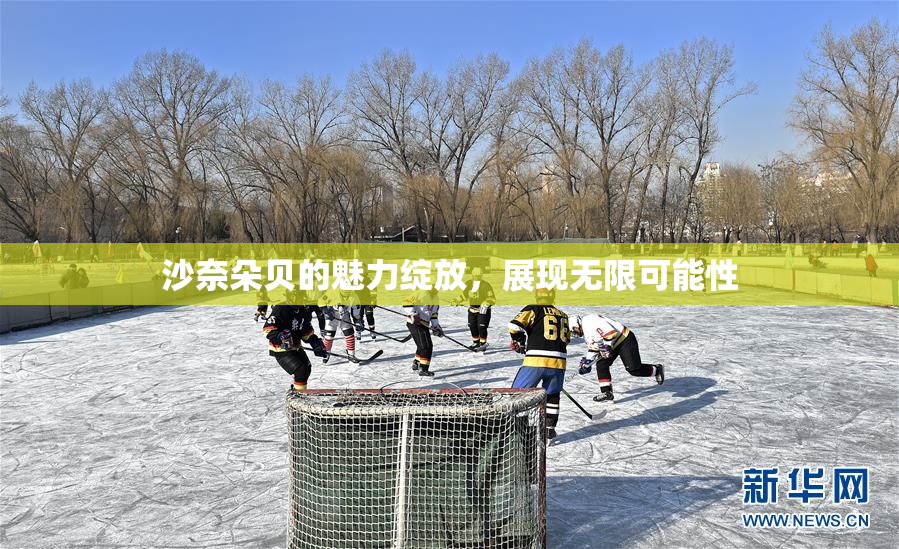 沙奈朵贝的魅力绽放，展现无限可能性