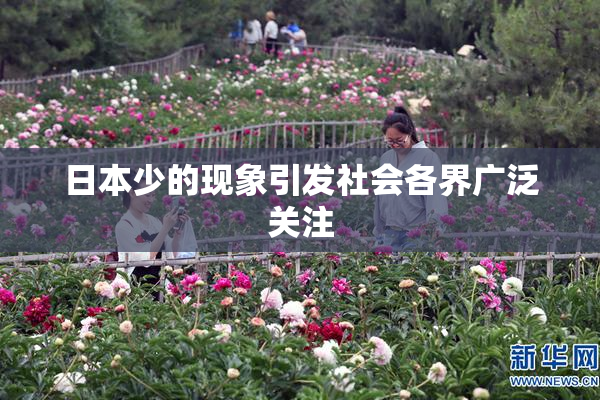 日本少的现象引发社会各界广泛关注