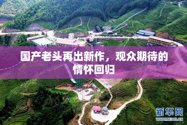 国产老头再出新作，观众期待的情怀回归