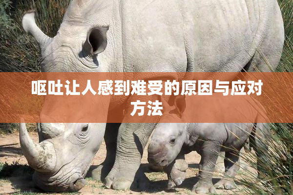 呕吐让人感到难受的原因与应对方法