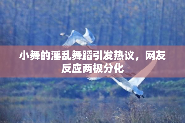 小舞的淫乱舞蹈引发热议，网友反应两极分化