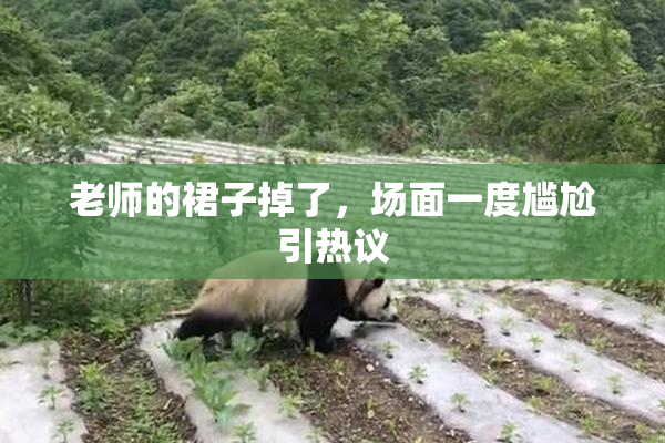 老师的裙子掉了，场面一度尴尬引热议
