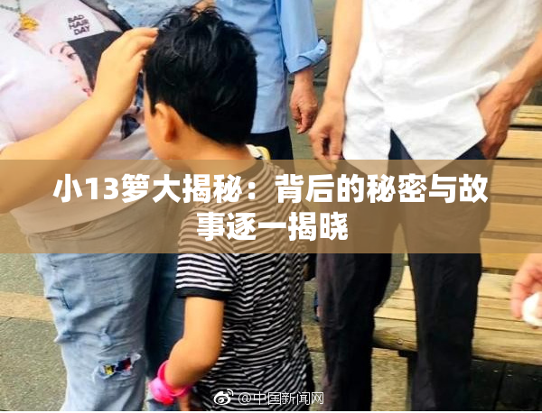小13箩大揭秘：背后的秘密与故事逐一揭晓