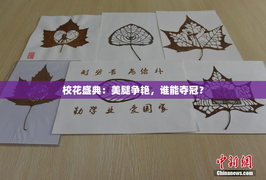 校花盛典：美腿争艳，谁能夺冠？