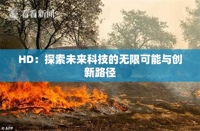 HD：探索未来科技的无限可能与创新路径