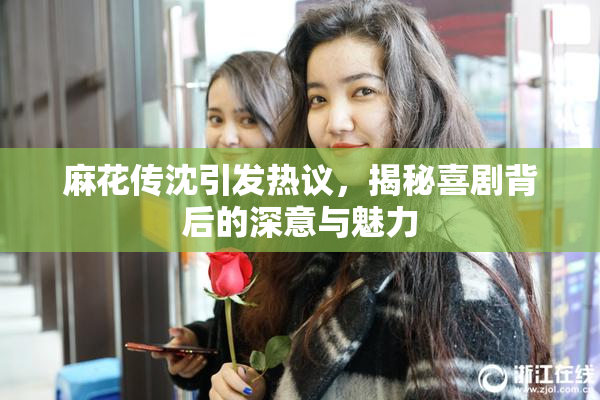 麻花传沈引发热议，揭秘喜剧背后的深意与魅力
