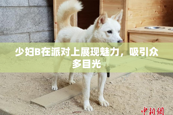 少妇B在派对上展现魅力，吸引众多目光