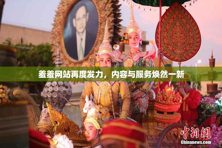 羞羞网站再度发力，内容与服务焕然一新