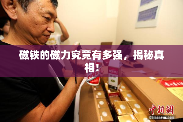 磁铁的磁力究竟有多强，揭秘真相！