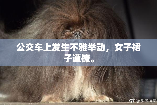 公交车上发生不雅举动，女子裙子遭撩。
