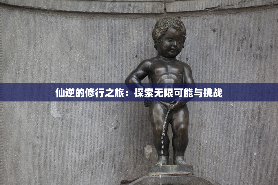 仙逆的修行之旅：探索无限可能与挑战