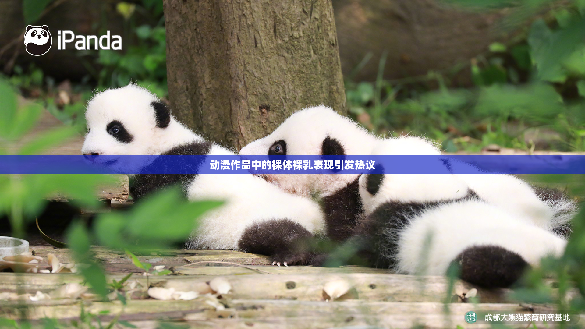 动漫作品中的裸体裸乳表现引发热议
