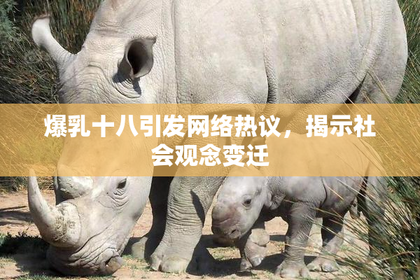 爆乳十八引发网络热议，揭示社会观念变迁