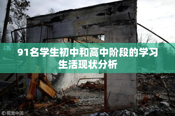 91名学生初中和高中阶段的学习生活现状分析