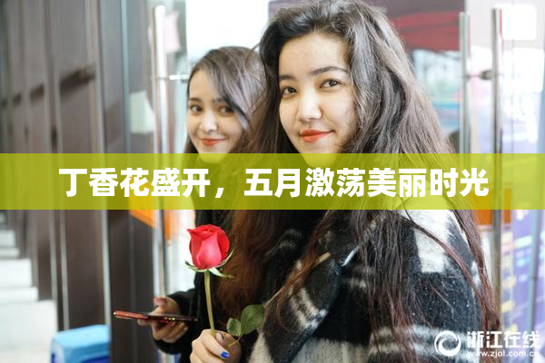 丁香花盛开，五月激荡美丽时光