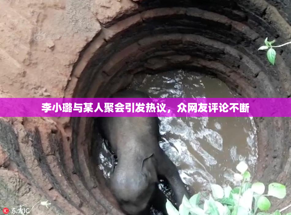 李小璐与某人聚会引发热议，众网友评论不断
