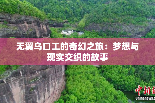 无翼乌口工的奇幻之旅：梦想与现实交织的故事
