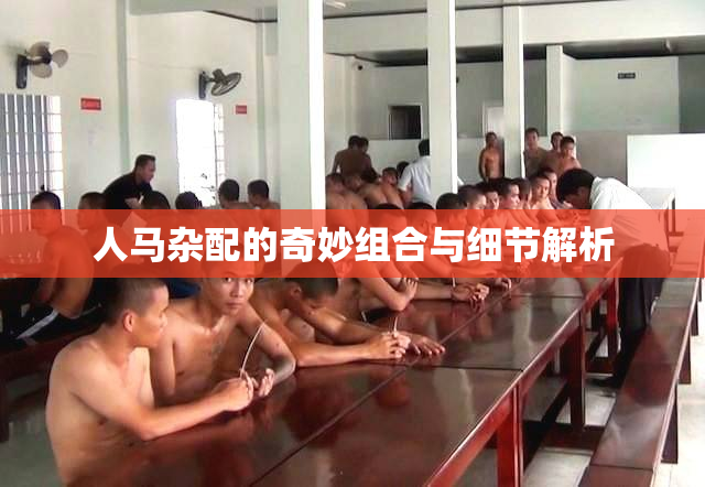 人马杂配的奇妙组合与细节解析