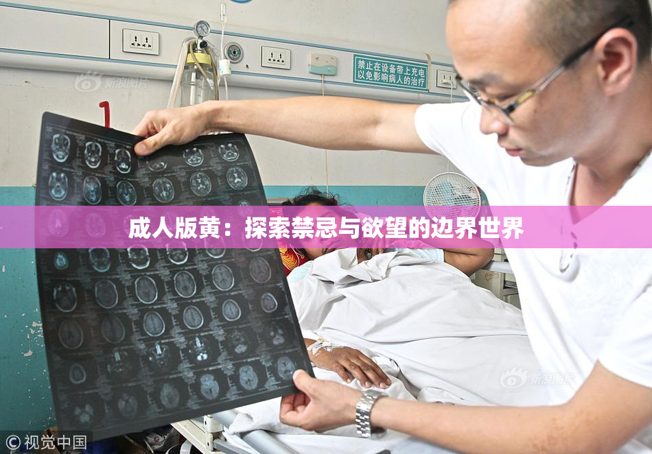 成人版黄：探索禁忌与欲望的边界世界