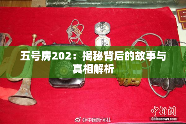 五号房202：揭秘背后的故事与真相解析