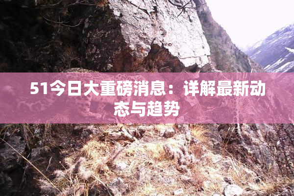 51今日大重磅消息：详解最新动态与趋势