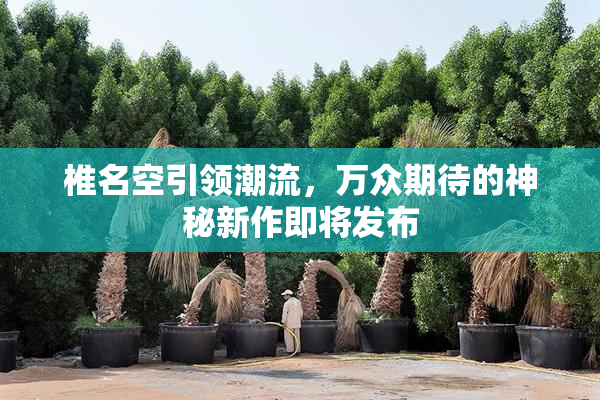 椎名空引领潮流，万众期待的神秘新作即将发布