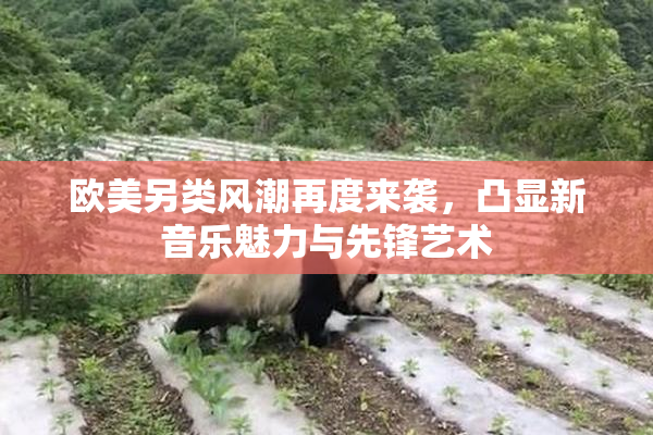 欧美另类风潮再度来袭，凸显新音乐魅力与先锋艺术