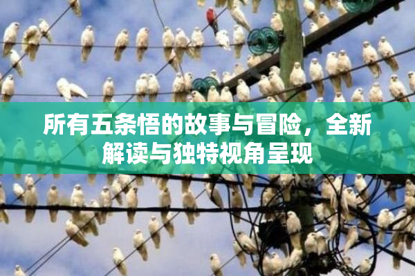 所有五条悟的故事与冒险，全新解读与独特视角呈现