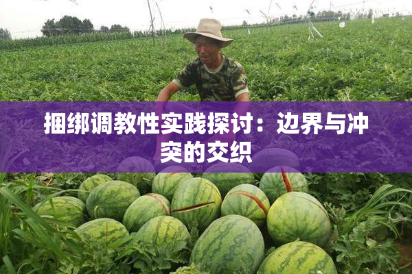 捆绑调教性实践探讨：边界与冲突的交织