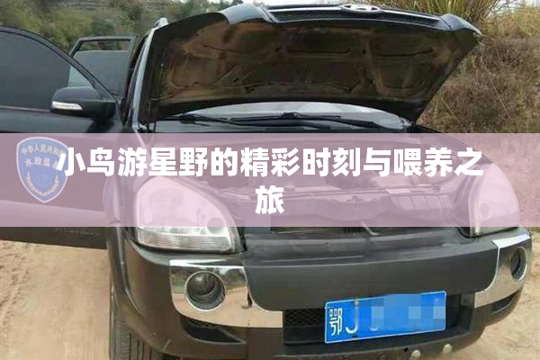 小鸟游星野的精彩时刻与喂养之旅