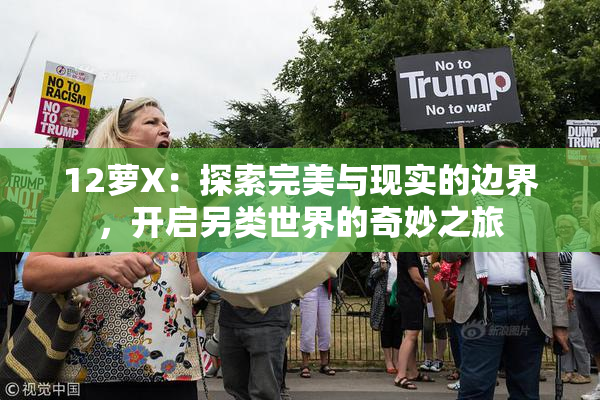 12萝X：探索完美与现实的边界，开启另类世界的奇妙之旅