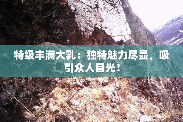 特级丰满大乳：独特魅力尽显，吸引众人目光！