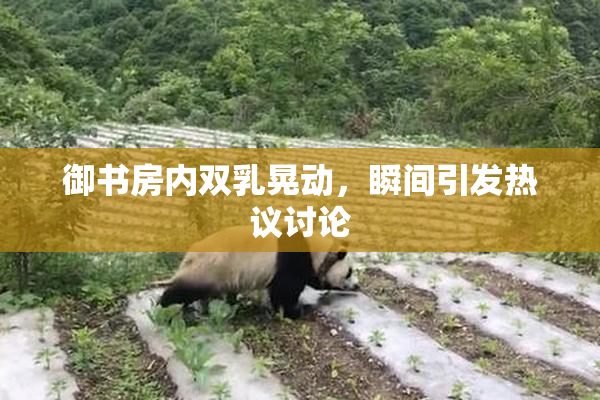 御书房内双乳晃动，瞬间引发热议讨论