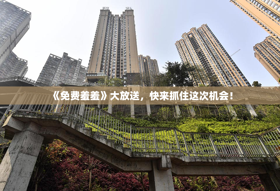 《免费羞羞》大放送，快来抓住这次机会！