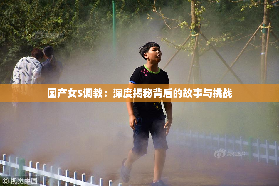 国产女S调教：深度揭秘背后的故事与挑战