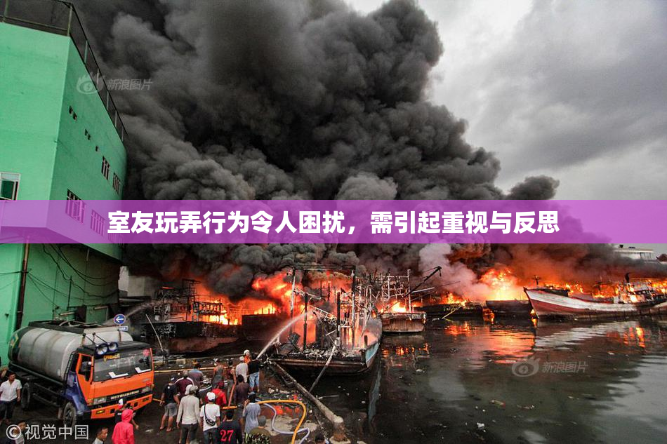 室友玩弄行为令人困扰，需引起重视与反思