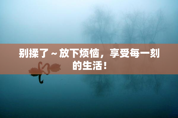 别揉了～放下烦恼，享受每一刻的生活！