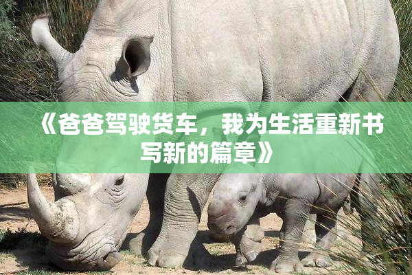 《爸爸驾驶货车，我为生活重新书写新的篇章》