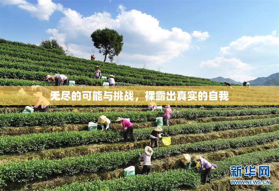 无尽的可能与挑战，裸露出真实的自我