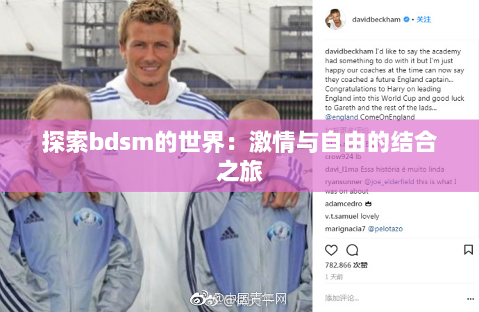 探索bdsm的世界：激情与自由的结合之旅