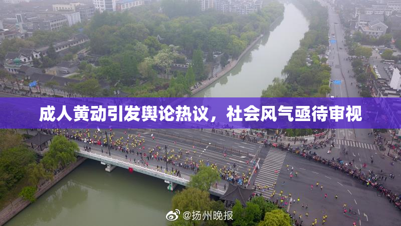成人黄动引发舆论热议，社会风气亟待审视