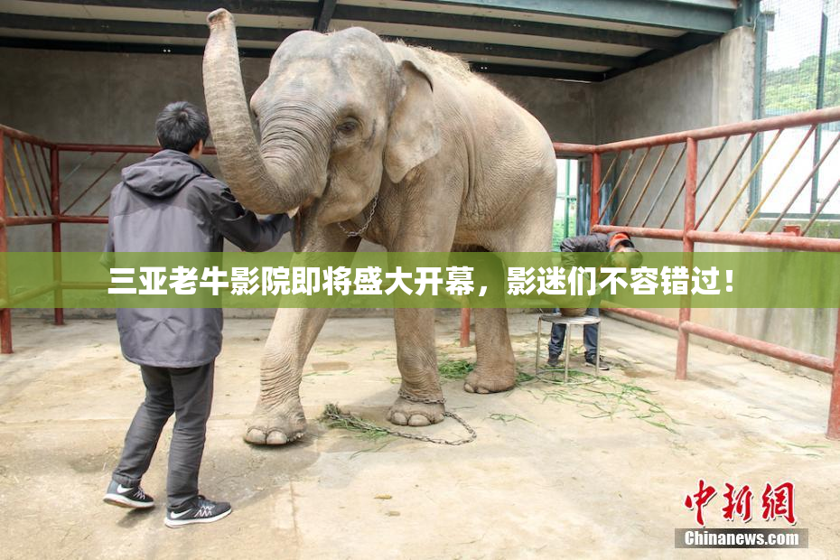 三亚老牛影院即将盛大开幕，影迷们不容错过！
