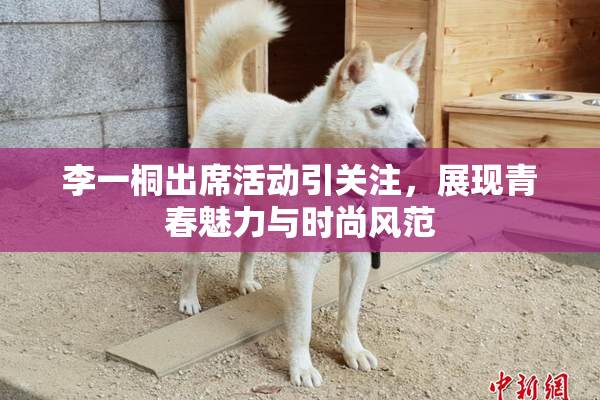 李一桐出席活动引关注，展现青春魅力与时尚风范